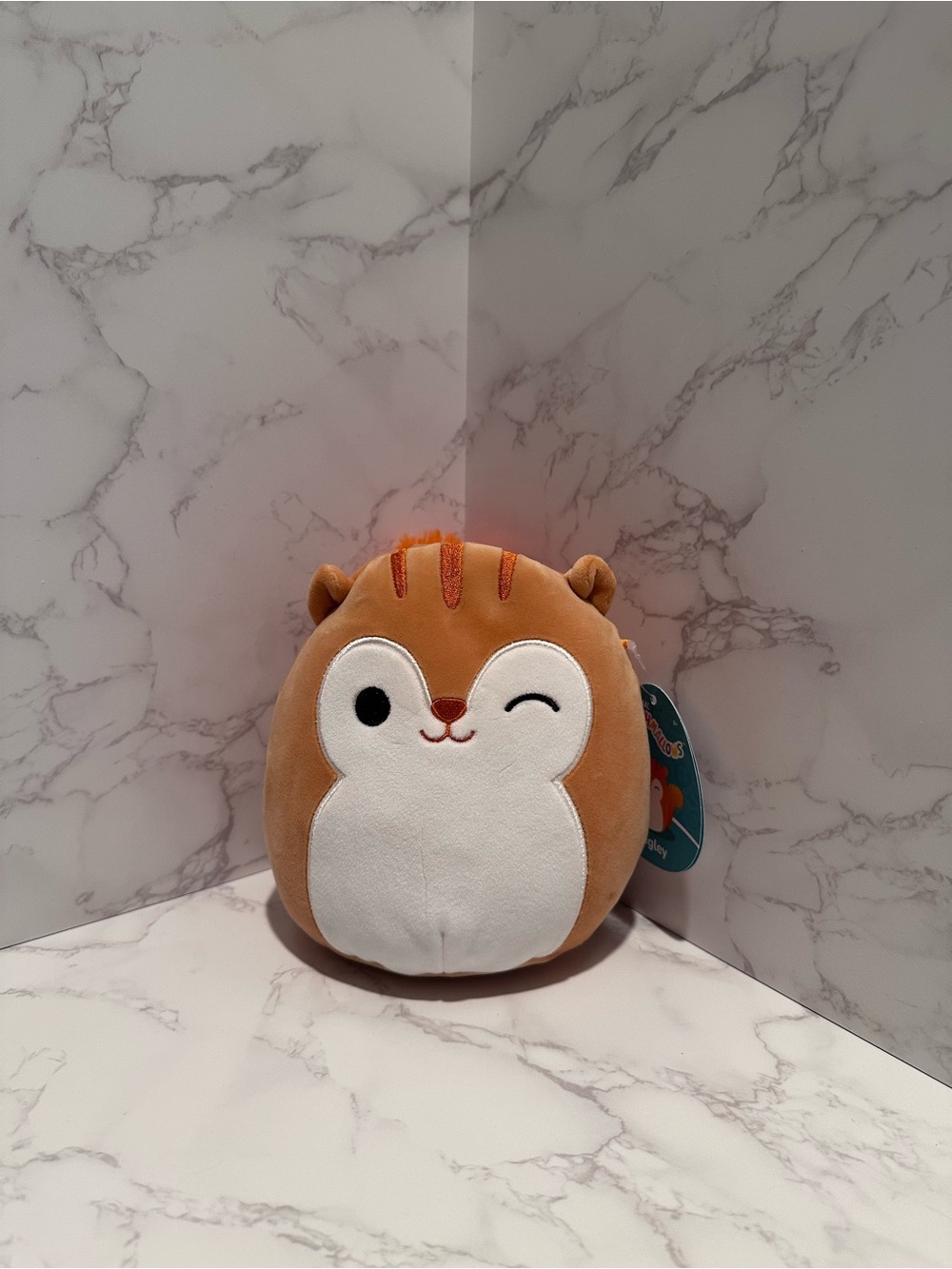 7in Quigley the Squirrel Fall Squishmallows